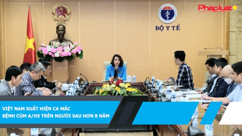 Việt Nam xuất hiện ca mắc bệnh cúm A/H5 trên người sau hơn 8 năm