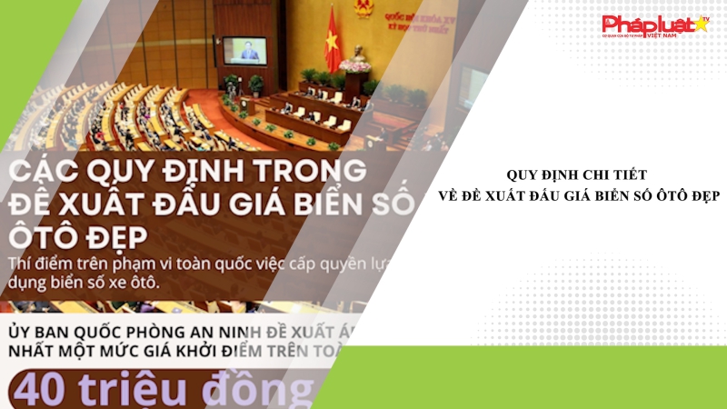 Quy định chi tiết về đề xuất đấu giá biển số ôtô đẹp