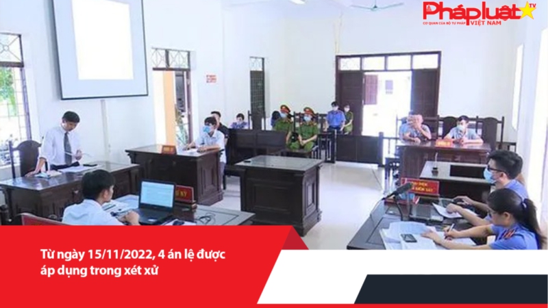 Từ ngày 15/11/2022, 4 án lệ được áp dụng trong xét xử