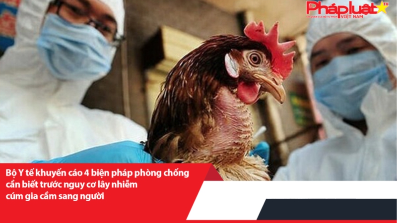 Bộ Y tế khuyến cáo 4 biện pháp phòng chống cần biết trước nguy cơ lây nhiễm cúm gia cầm sang người