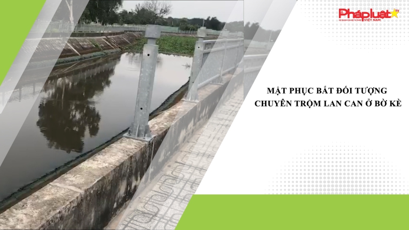 Mật phục bắt đối tượng chuyên trộm lan can ở bờ kè