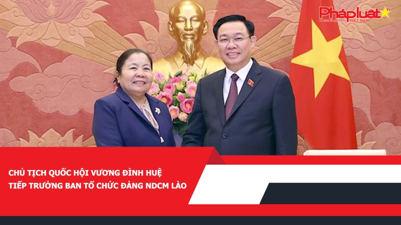 Chủ tịch Quốc hội Vương Đình Huệ tiếp Trưởng Ban Tổ chức Đảng NDCM Lào