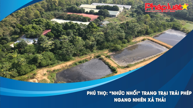 “Nhức nhối” trang trại trái phép ngang nhiên xả thải