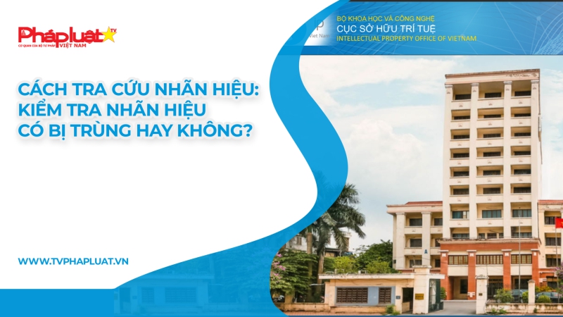 Cách tra cứu nhãn hiệu: Kiểm tra nhãn hiệu có bị trùng hay không?