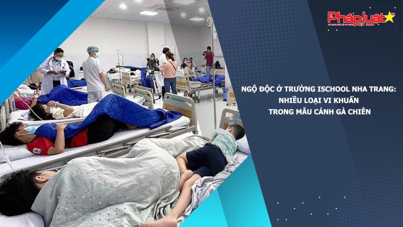 Ngộ độc ở trường Ischool Nha Trang: Nhiều loại vi khuẩn trong mẫu cánh gà chiên