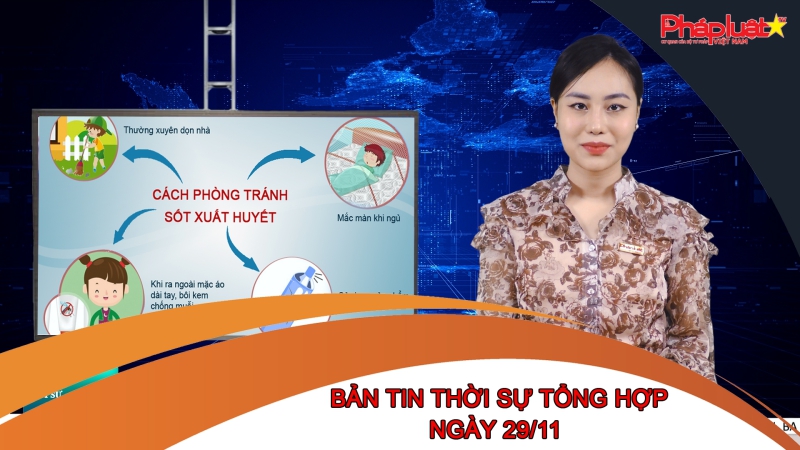 Bản tin thời sự tổng hợp ngày 29/11/2022