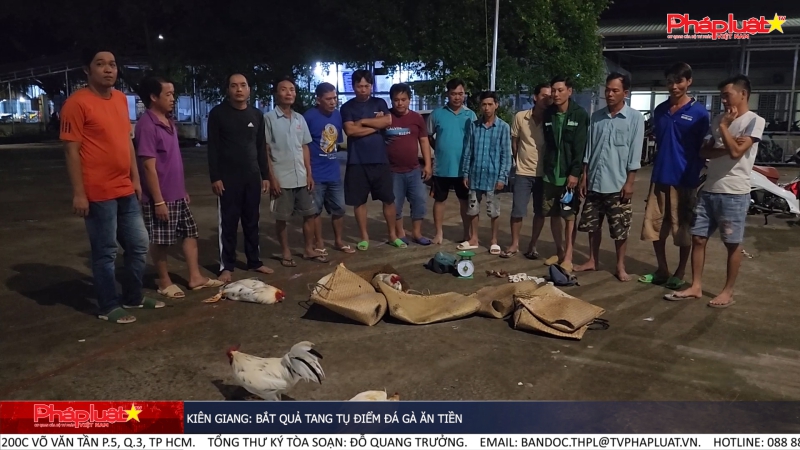 Kiên Giang: Bắt quả tang tụ điểm đá gà ăn tiền