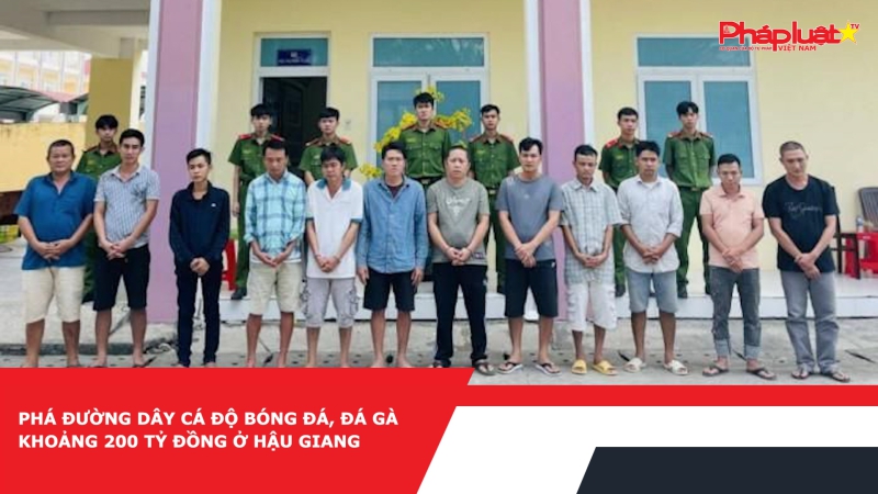 Phá đường dây cá độ bóng đá, đá gà khoảng 200 tỷ đồng ở Hậu Giang