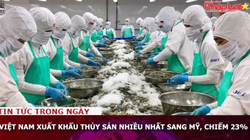 Việt Nam xuất khẩu thủy sản nhiều nhất sang Mỹ, chiếm 23%