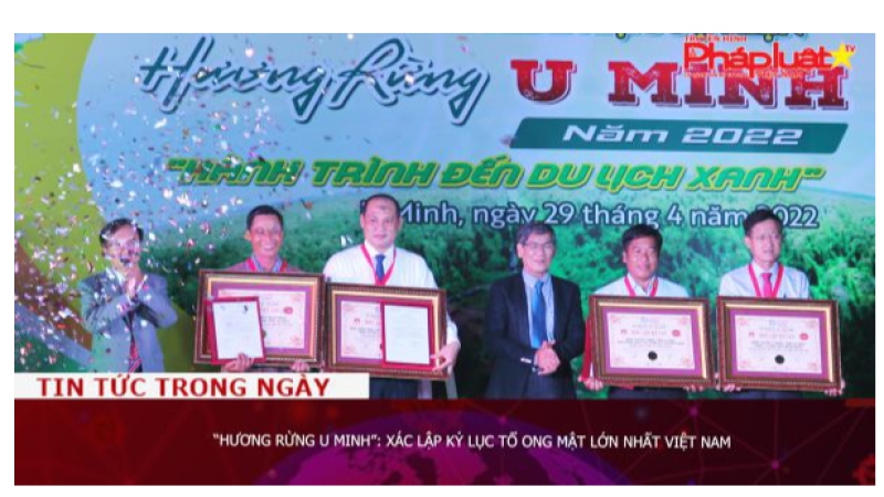 “Hương rừng U Minh”: Xác lập Kỷ lục Tổ ong mật lớn nhất Việt Nam