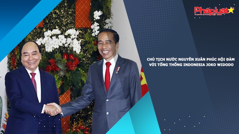 Chủ tịch nước Nguyễn Xuân Phúc hội đàm với Tổng thống Indonesia Joko Widodo