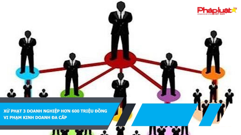Xử phạt 3 doanh nghiệp hơn 600 triệu đồng vi phạm kinh doanh đa cấp