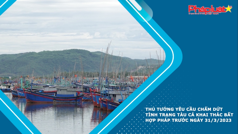 Thủ tướng yêu cầu chấm dứt tình trạng tàu cá khai thác bất hợp pháp trước ngày 31/3/2023