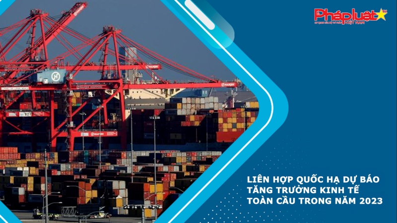 Liên Hợp Quốc hạ dự báo tăng trưởng kinh tế toàn cầu trong năm 2023