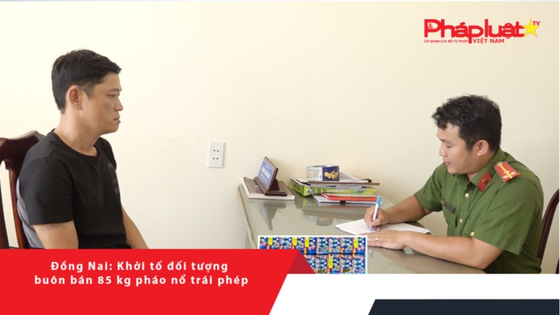 Đồng Nai: Khởi tố đối tượng buôn bán 85 kg pháo nổ trái phép