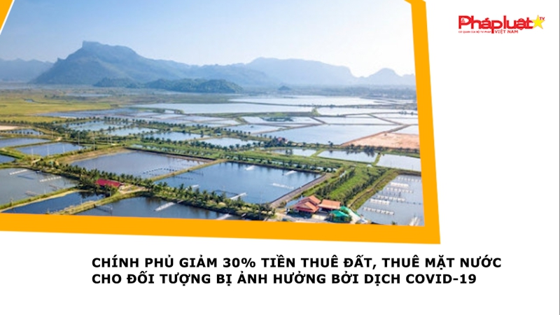 Chính phủ giảm 30% tiền thuê đất, thuê mặt nước cho đối tượng bị ảnh hưởng bởi dịch COVID-19