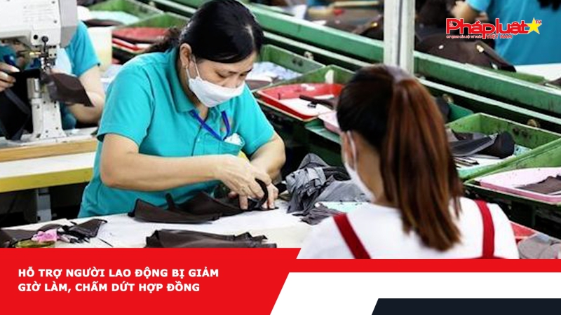 Hỗ trợ người lao động bị giảm giờ làm, chấm dứt hợp đồng