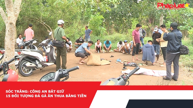 Sóc Trăng: Công an bắt giữ 15 đối tượng đá gà ăn thua bằng tiền