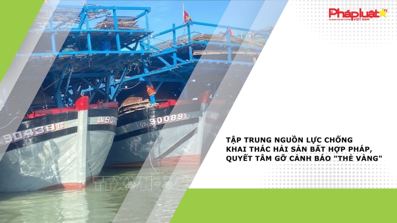 Tập trung nguồn lực chống khai thác hải sản bất hợp pháp, quyết tâm gỡ cảnh báo 