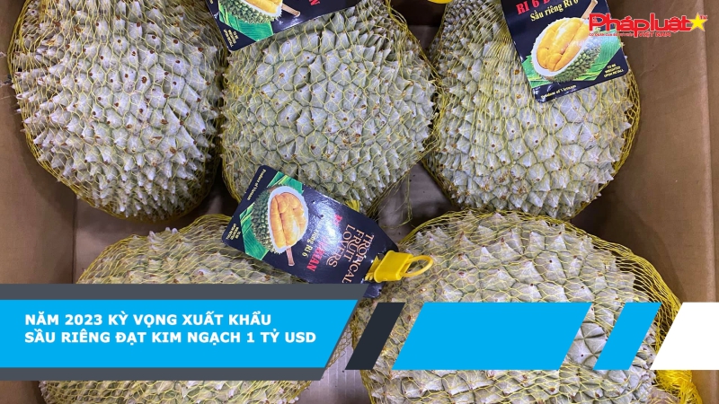 Năm 2023 kỳ vọng xuất khẩu sầu riêng đạt kim ngạch 1 tỷ USD