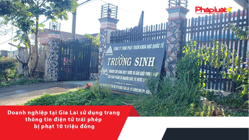Doanh nghiệp tại Gia Lai sử dụng trang thông tin điện tử trái phép bị phạt 10 triệu đồng