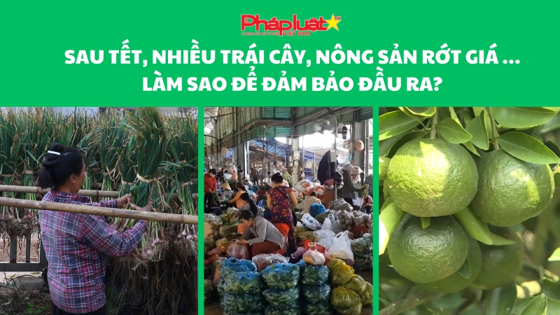 Nhiều trái cây, nông sản rớt giá … sau Tết