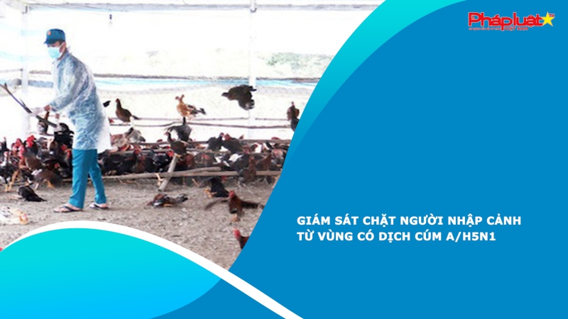 Giám sát chặt người nhập cảnh từ vùng có dịch cúm A/H5N1