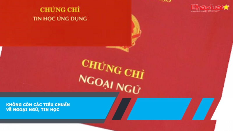 Không còn các tiêu chuẩn về ngoại ngữ, tin học