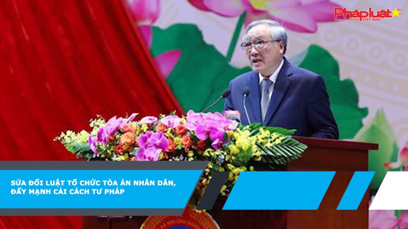 Sửa đổi Luật Tổ chức Tòa án nhân dân, đẩy mạnh Cải cách Tư pháp