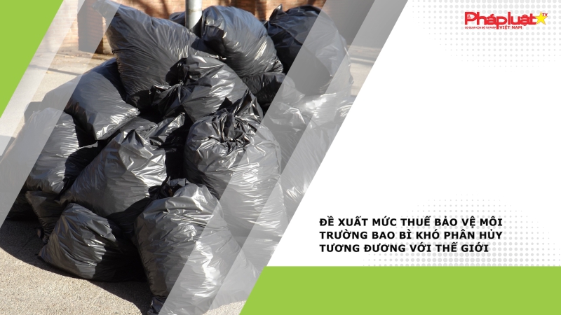 Đề xuất mức thuế bảo vệ môi trường bao bì khó phân hủy tương đương với thế giới