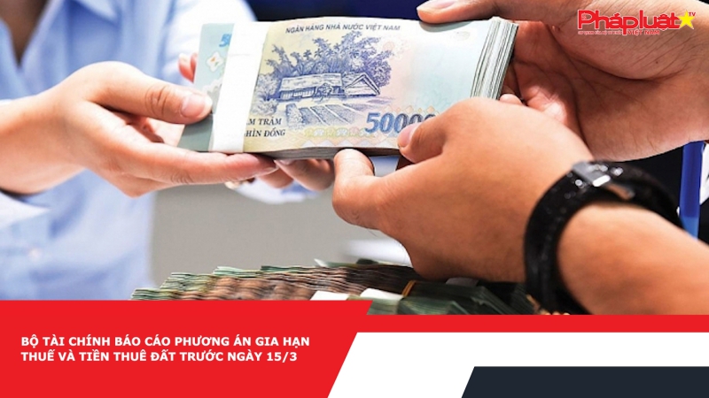 Bộ Tài chính báo cáo phương án gia hạn thuế và tiền thuê đất trước ngày 15/3