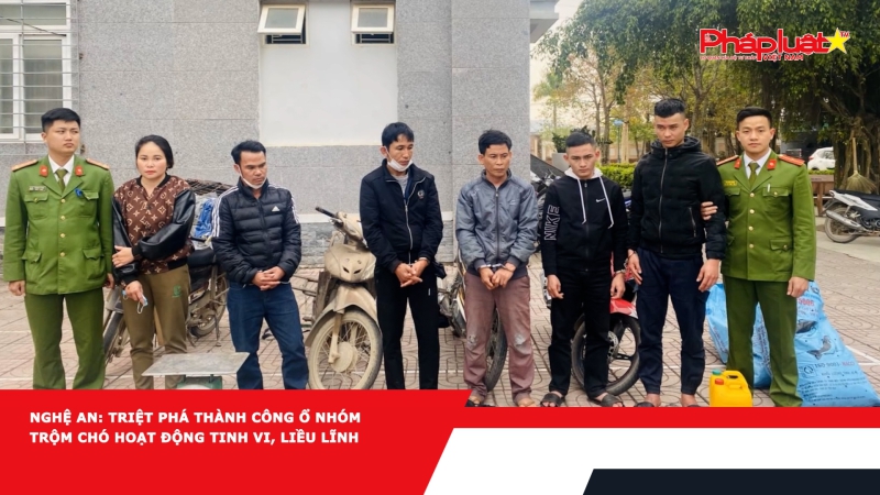 Nghệ An: Triệt phá thành công ổ nhóm trộm chó hoạt động tinh vi, liều lĩnh