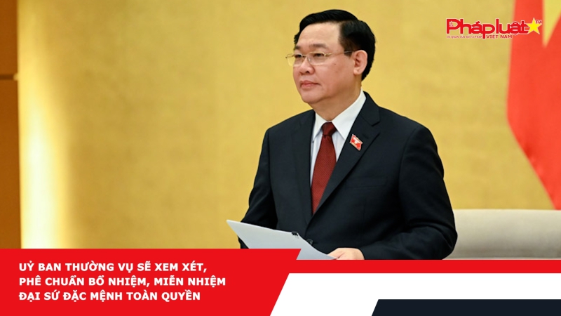 Uỷ ban Thường vụ sẽ xem xét, phê chuẩn bổ nhiệm, miễn nhiệm Đại sứ đặc mệnh toàn quyền