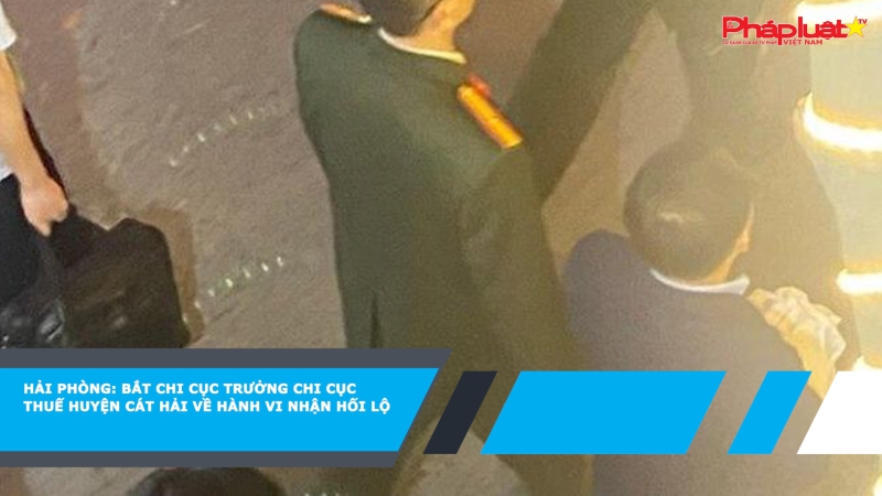 Hải Phòng: Bắt Chi cục trưởng Chi cục thuế huyện Cát Hải về hành vi nhận hối lộ