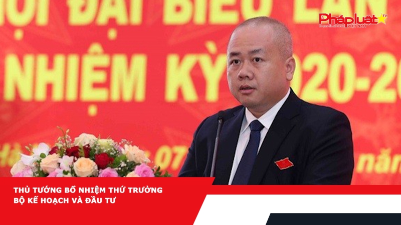 Thủ tướng bổ nhiệm thứ trưởng Bộ Kế hoạch và Đầu tư