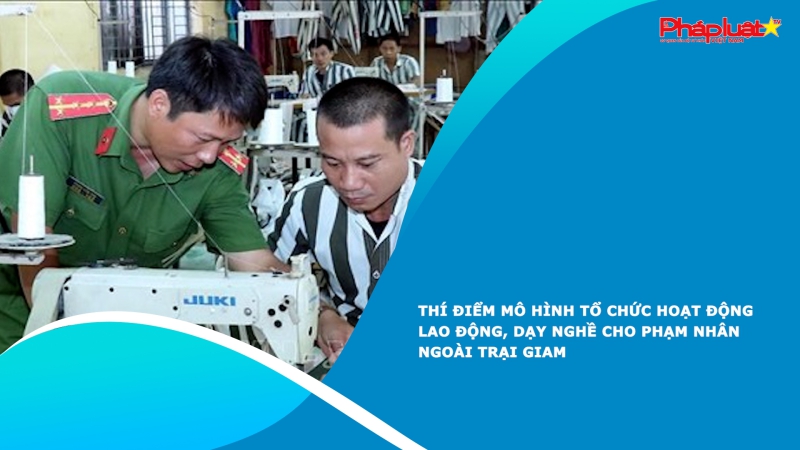 Thí điểm mô hình tổ chức hoạt động lao động, dạy nghề cho phạm nhân ngoài trại giam