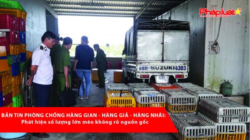 BẢN TIN PHÒNG CHỐNG HÀNG GIAN - HÀNG GIẢ - HÀNG NHÁI: Phát hiện số lượng lớn mèo không rõ nguồn gốc