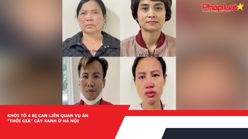 Khởi tố 4 bị can liên quan vụ án “thổi giá” cây xanh ở Hà Nội