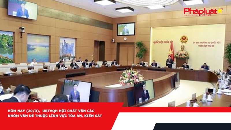 Hôm nay (20/3), UBTVQH hội chất vấn các nhóm vấn đề thuộc lĩnh vực tòa án, kiểm sát