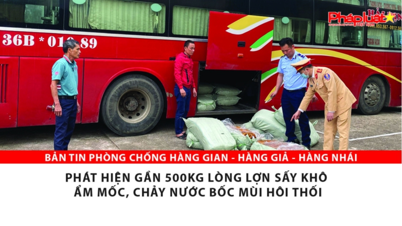 BẢN TIN PHÒNG CHỐNG HÀNG GIAN - HÀNG GIẢ - HÀNG NHÁI: Phát hiện gần 500kg lòng lợn sấy khô ẩm mốc, chảy nước bốc mùi hôi thối