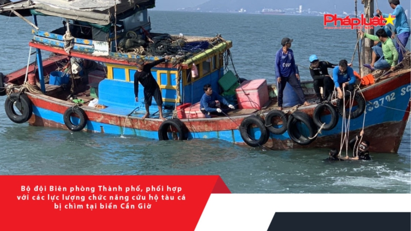 Cần Giờ: Bộ đội Biên phòng TP.HCM phối hợp với các lực lượng chức năng cứu hộ tàu cá bị chìm