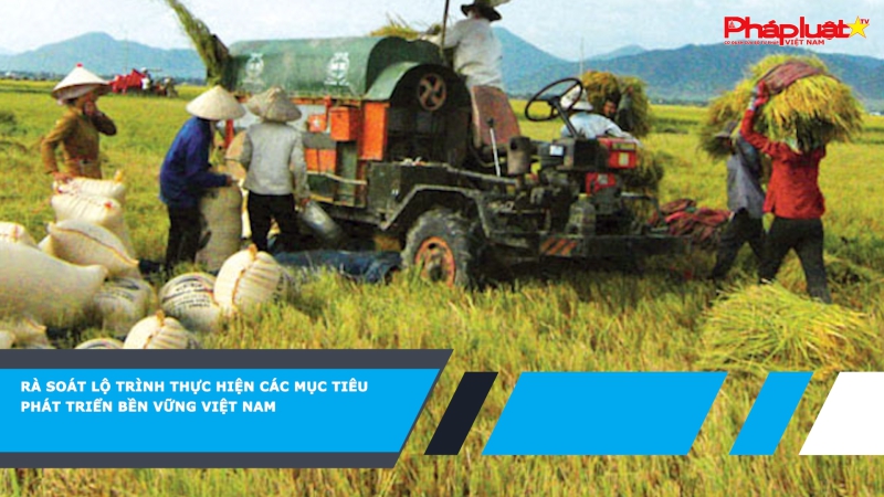 Rà soát lộ trình thực hiện các mục tiêu phát triển bền vững Việt Nam