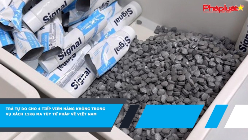 Trả tự do cho 4 tiếp viên hàng không trong vụ xách 11kg ma túy từ Pháp về Việt Nam