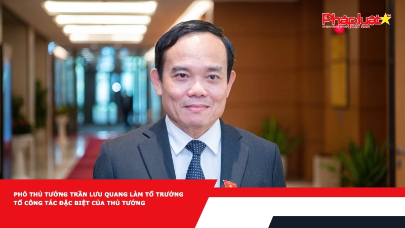 Phó Thủ tướng Trần Lưu Quang làm Tổ trưởng Tổ công tác đặc biệt của Thủ tướng