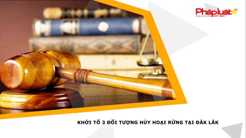 Khởi tố 3 đối tượng hủy hoại rừng tại Đắk Lắk