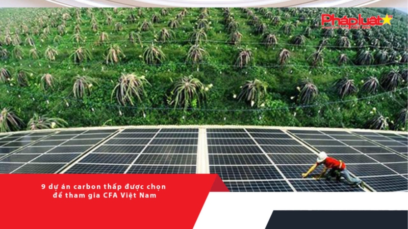 9 dự án carbon thấp được chọn để tham gia CFA Việt Nam