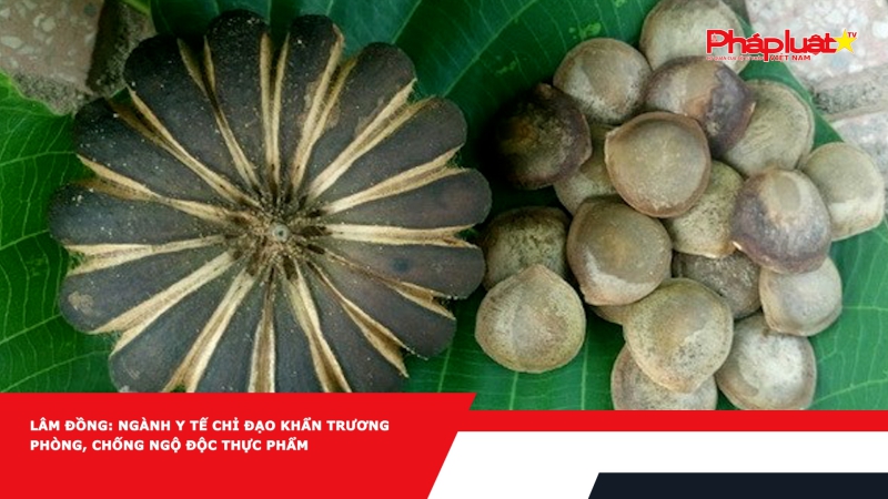 Lâm Đồng: Ngành Y tế chỉ đạo khẩn trương phòng, chống ngộ độc thực phẩm