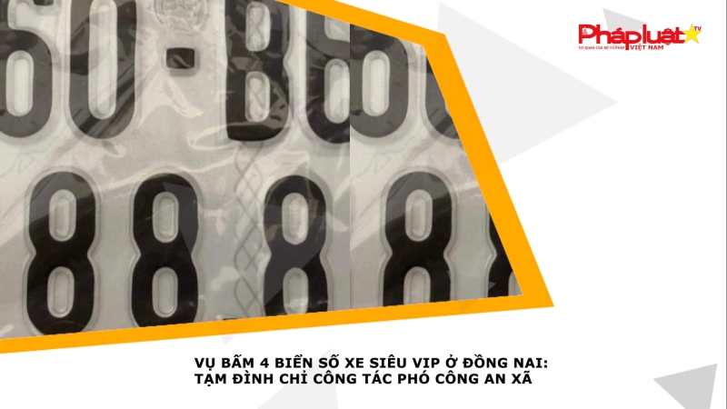 Vụ bấm 4 biển số xe siêu VIP ở Đồng Nai: Tạm đình chỉ công tác Phó trưởng Công an xã