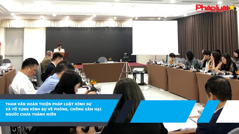 Tham vấn hoàn thiện pháp luật hình sự và tố tụng hình sự về phòng, chống xâm hại người chưa thành niên