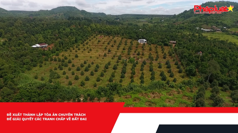 Đề xuất thành lập tòa án chuyên trách để giải quyết các tranh chấp về đất đai